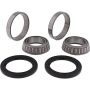 All Balls Racing 25-1151 Wheel Bearing Kits