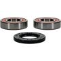 Pivot Works 25-1322-P Polaris Wheel Bearing Kit Premium Bearings