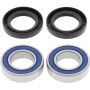 All Balls Racing 25-1569 08-16 Aprilia Dorsoduro 750 Wheel Bearing Kit Front