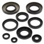 Vertex Pistons 822247 Vertex Gaskets 07-08 Yamaha YFM400 Grizzly IRS Oil Seal Kit