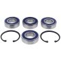 All Balls Racing 14-1076 18-19 Timbersled ARO 120 Drive Shaft Bearing & Seal Kit Lower Shaft - Track