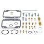All Balls Racing 26-1952 93-94 Arctic Cat ZR 440 Carburetor Rebuild Kit