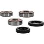 Pivot Works 25-1355-P Honda Wheel Bearing Kit Premium Bearings