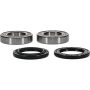 Pivot Works 25-1299-P Wheel Bearing Kit