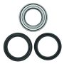 QuadBoss 413997 07-10 Suzuki LT-A450X KingQuad 4x4 AXi Rear ATV Wheel Bearing & Seal Kit