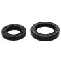Wiseco B6009 Seal Kit 28x50x8 & 35x58x11mm