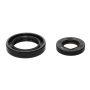 Wiseco B6016 Seal Kit 22x40x7 & 36x55x10mm