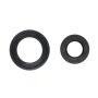 Wiseco B6016 Seal Kit 22x40x7 & 36x55x10mm