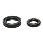 Wiseco B6032 Seal Kit 18x30x6 & 28x40x8