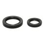 Wiseco B6042 Seal Kit 25x38x7 & 36x52x8mm