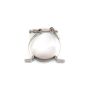 CANTON CAN26-891B Clamp - For Oil Filters 25-006B & 25-106B