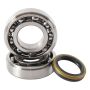 Hot Rods K055 07-09 RM-Z 250 Main Bearing & Seal Kit