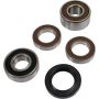 Pivot Works 25-1464-P Honda Wheel Bearing Kit Premium Bearings