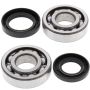 All Balls Racing 24-1005 85-86 Honda ATC250R Crank Shaft Bearing Kit