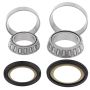 All Balls Racing 22-1008 Steering Bearing Kits