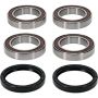 Pivot Works 25-1565-P Can-Am Wheel Bearing Kit Premium Bearings