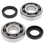 All Balls Racing 24-1065 1992 Yamaha WR200 Crank Shaft Bearing Kit