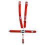 RJS SAFETY RJS1127804 5-Pt Harness System Rd Ind Bolt In Mt 2in Sub