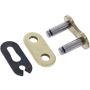 ProTaper 021709 Gold Series Chain