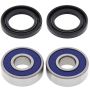 All Balls Racing 25-1027 83-84 Honda CR60 Wheel Bearing Kit - Front