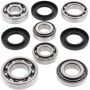 All Balls Racing 25-2074 09-14 Yamaha YFM550 Grizzly Differential Bearing & Seal Kit Rear