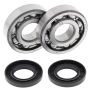 All Balls Racing 24-1040 87-88 Kawasaki KXF250 Tecate Crank Shaft Bearing Kit