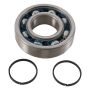 Hot Rods K081 2014 YFM 450 DE Grizzly IRS 4x4/03-06 YFM 450 FA Kodiak 4x4 Main Bearing & Seal Kit