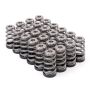 GSC P-D Nissan RB26DETT Shimless Conical Valve Spring & Ti Retainer Kit ( Max Boost PSI 50)