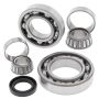 All Balls Racing 25-2038 88-05 Kawasaki KLF300B Bayou Differential Bearing & Seal Kit Rear