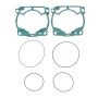 Athena R2706-099 21-23 GASGAS EC 250 2T Race Gasket Kit