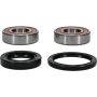 Pivot Works 25-1071-P Honda Wheel Bearing Kit Premium Bearings