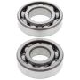 All Balls Racing 24-1036 83-86 Suzuki ALT-125 Crank Shaft Bearing Kit