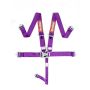 Racequip 711051 Purple L & L 5pt Seat Belt