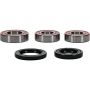 Pivot Works 25-1458-P Gas-Gas, Rieju Wheel Bearing Kit Premium Bearings