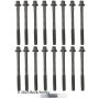 BECK/ARNLEY 016-1064 CYL HEAD BOLT SET