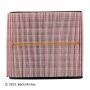 BECK/ARNLEY 042-1949 AIR FILTER
