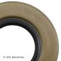 BECK/ARNLEY 052-3136 SEAL PINION