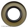 BECK/ARNLEY 052-3136 SEAL PINION