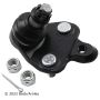 BECK/ARNLEY 101-7808 BALL JOINT