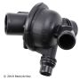 BECK/ARNLEY 143-0919 TSTAT with HOUSING