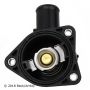 BECK/ARNLEY 143-0931 TSTAT with HOUSING