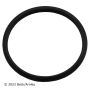 BECK/ARNLEY 143-0971 THERMOSTAT