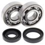 All Balls Racing 24-1008 Crank Bearing Kits