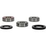 Pivot Works 25-1386-P Cagiva, Kawasaki Wheel Bearing Kit Premium Bearings
