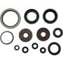 QuadBoss 564644 09-10 Arctic Cat 1000 TRV Oil Seal Set