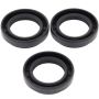 All Balls Racing 25-2022-5 01-02 Arctic Cat 250 4x4 Differential Seal Only Kit Front