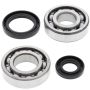 All Balls Racing 24-1069 82-85 Suzuki RM250 Crank Shaft Bearing Kit