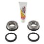 Pivot Works PWSSK-K08-000 2017 Beta RR-S 4T 125 PW Steering Stem Bearing Kit