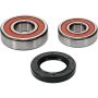 Pivot Works 25-1361-P Honda Wheel Bearing Kit Premium Bearings