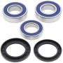 All Balls Racing 25-1547 11-14 Yamaha FZ8 Wheel Bearing Kit Rear